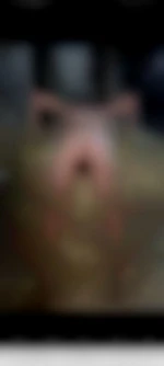 Eric02eric02