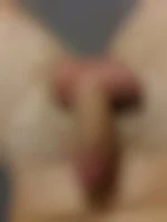 Hommelibre30