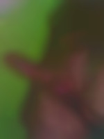 Photo de MonkeyD