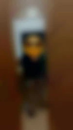 Yo