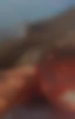 Cplegay17