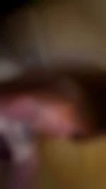 Adicxia.aal
