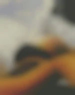 Rodi