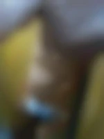 Fred76ies
