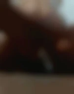 Mecsex17