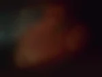 Enviecoquine37