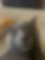 Bobysprint