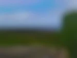 Cplplaisir60