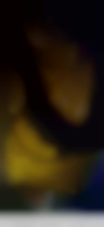 Calipyge84