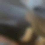 Handsom7