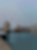 Coquindu41