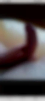Atraire44
