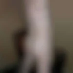 JouetSoumis77