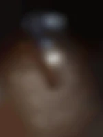 Bruno13009