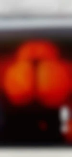 Docile4actifsbm