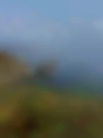 Manu744