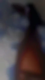 Toy