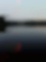Ypsos59215
