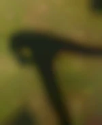NatuBi