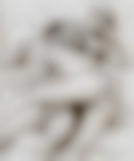 Candaucoquin06