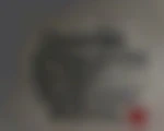 Le-tiigre13