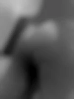 LienR