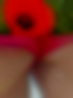 Coquelicot30