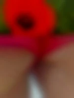 Coquelicot30