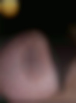 Tarzanetjane