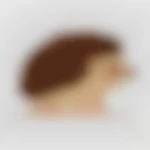 GitanVoyageur