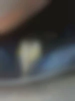 Photo de Je-Suce-Fdg