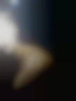 Vadrouille33