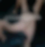 SubPigXhib