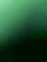 XYVB