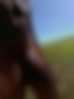 TTBM54