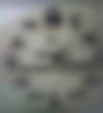 Medhi2