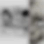 phenixbi