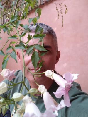 profil