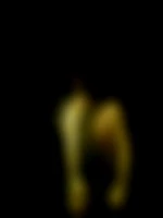 sensoli