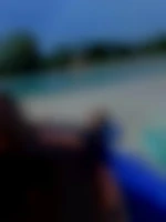 Wildu33