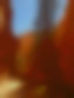 Dan