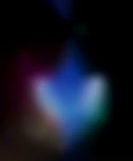 Dente06