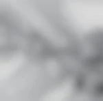 Pol29