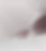 Excellium