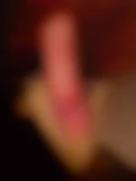 Ptiloup16