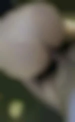 Photo de jcocufieur67