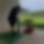 photo profil