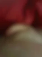 Jl29
