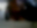 pateoleisa