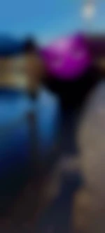 Vosdesirs